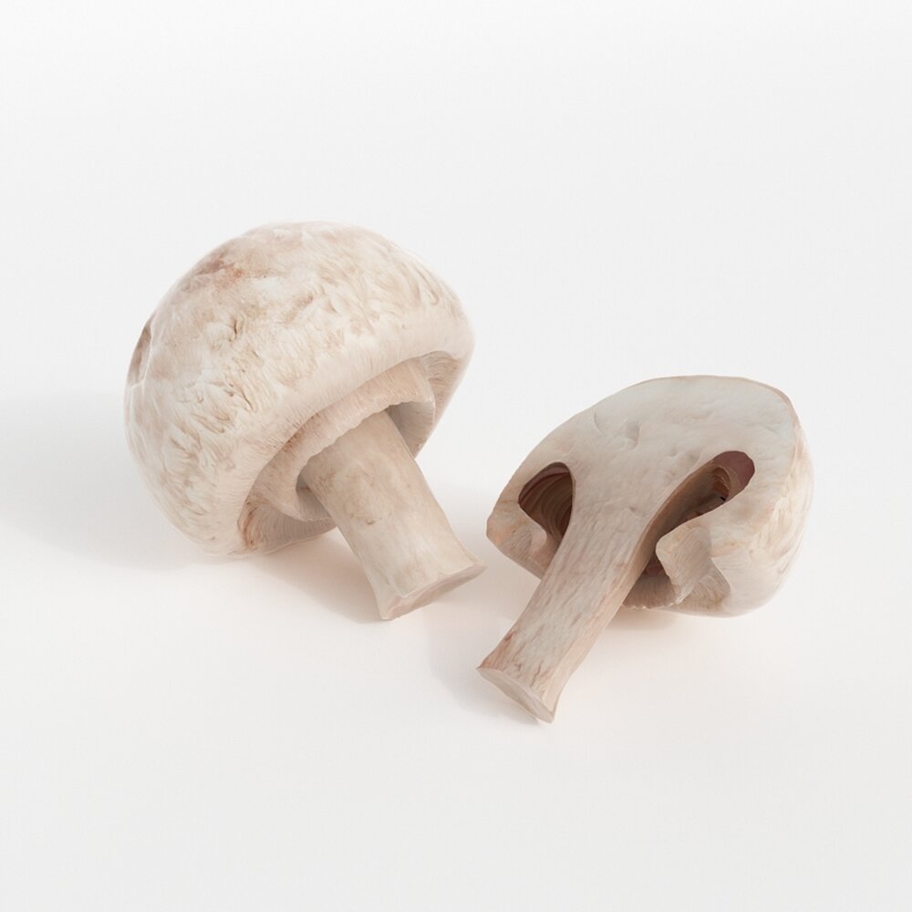 White Mushrooms 3D model