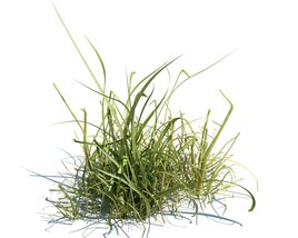 Simple Grass V1 Modèle 3D