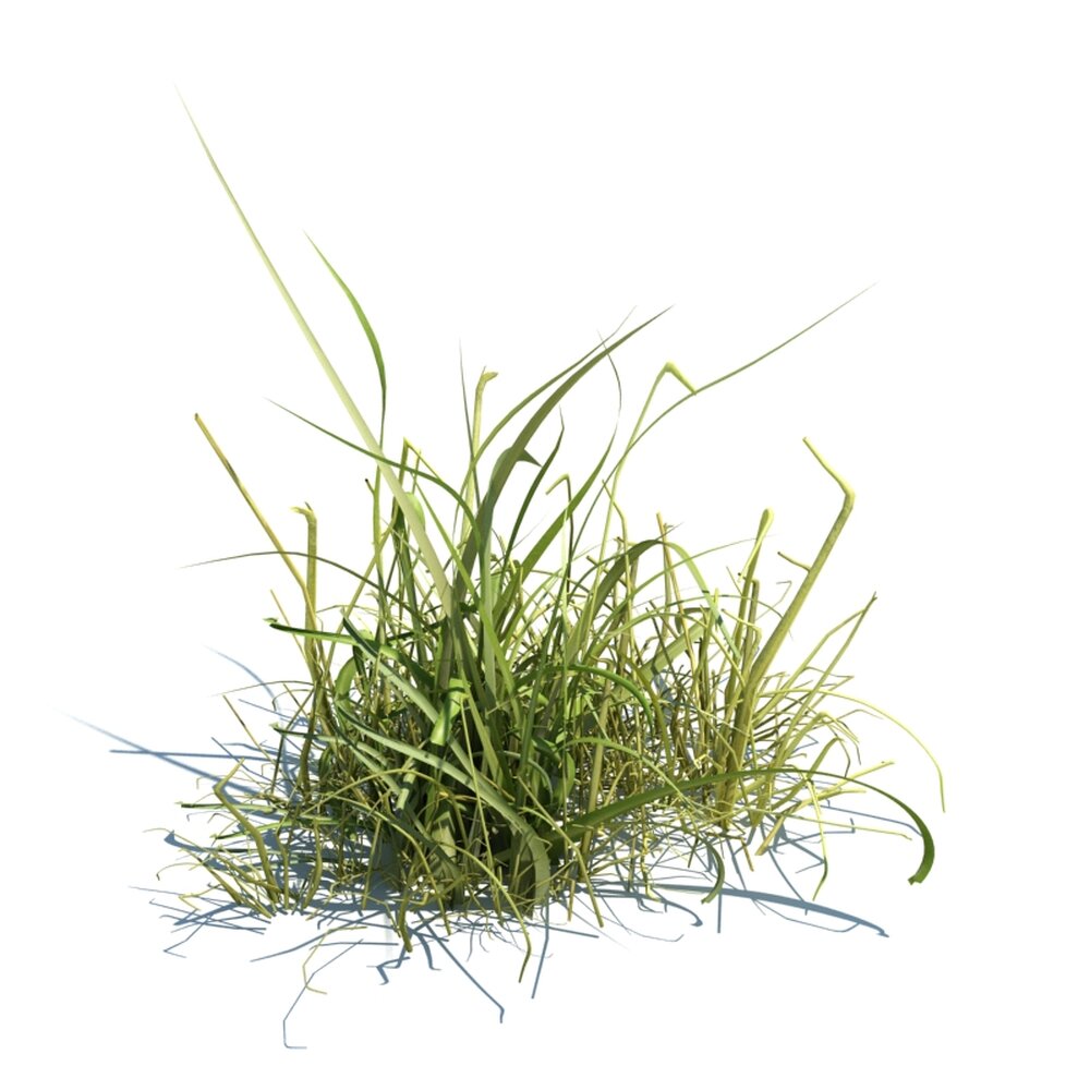 Simple Grass V1 3D модель