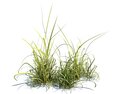 Simple Grass V2 3D-Modell