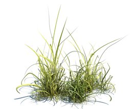 Simple Grass V2 Modello 3D