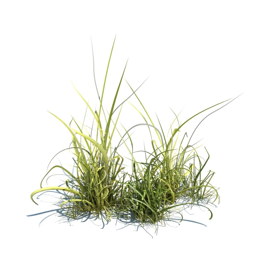 Simple Grass V2 Modello 3D