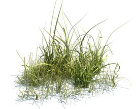 Simple Grass V3 Modello 3D