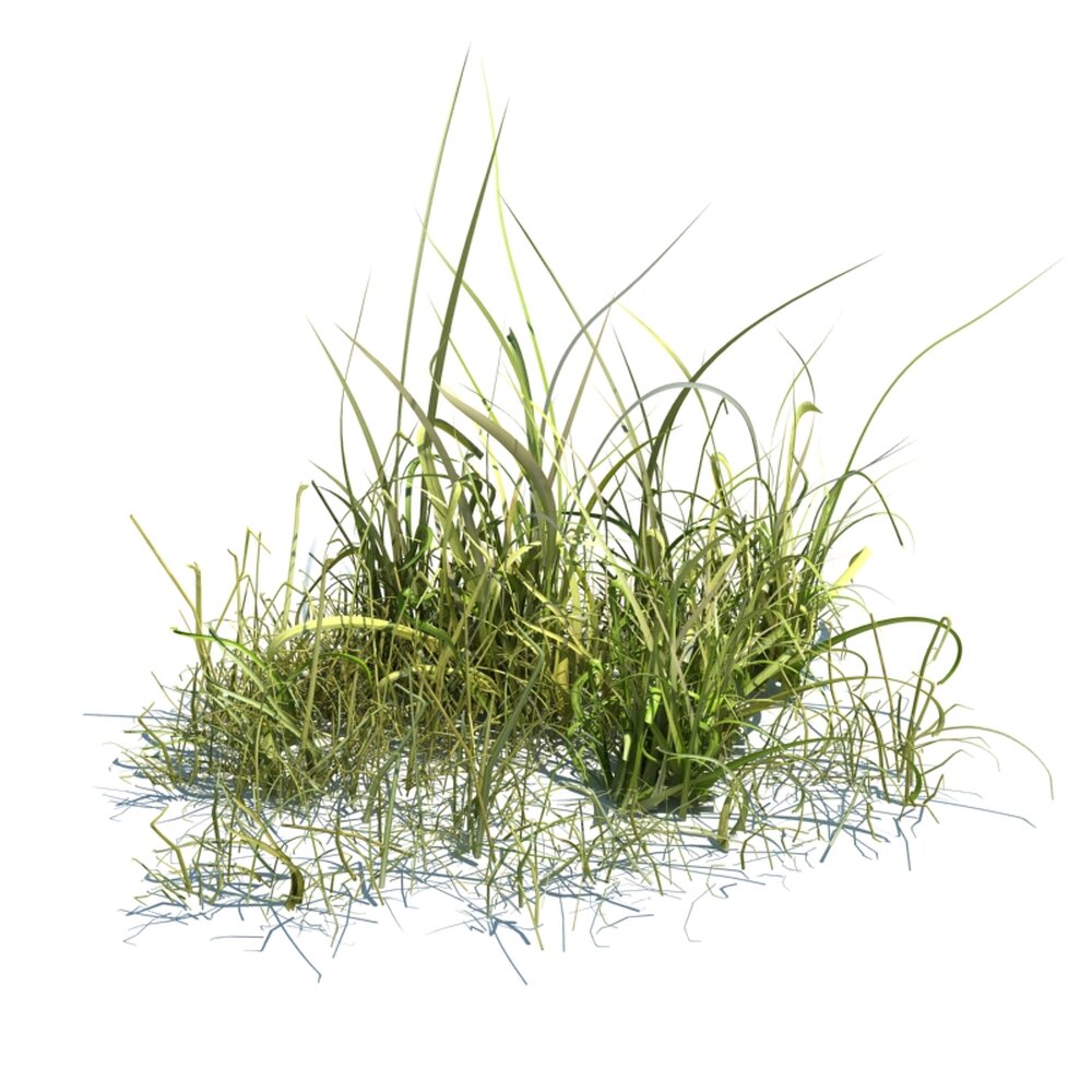 Simple Grass V3 Modèle 3d
