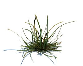 Simple Grass V4 3D 모델 