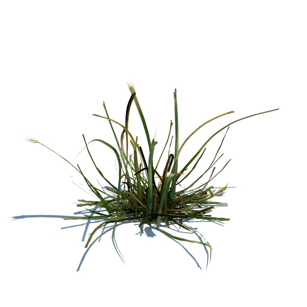 Simple Grass V4 3d model