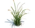 Simple Grass V5 3Dモデル