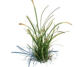 Simple Grass V5 3D-Modell