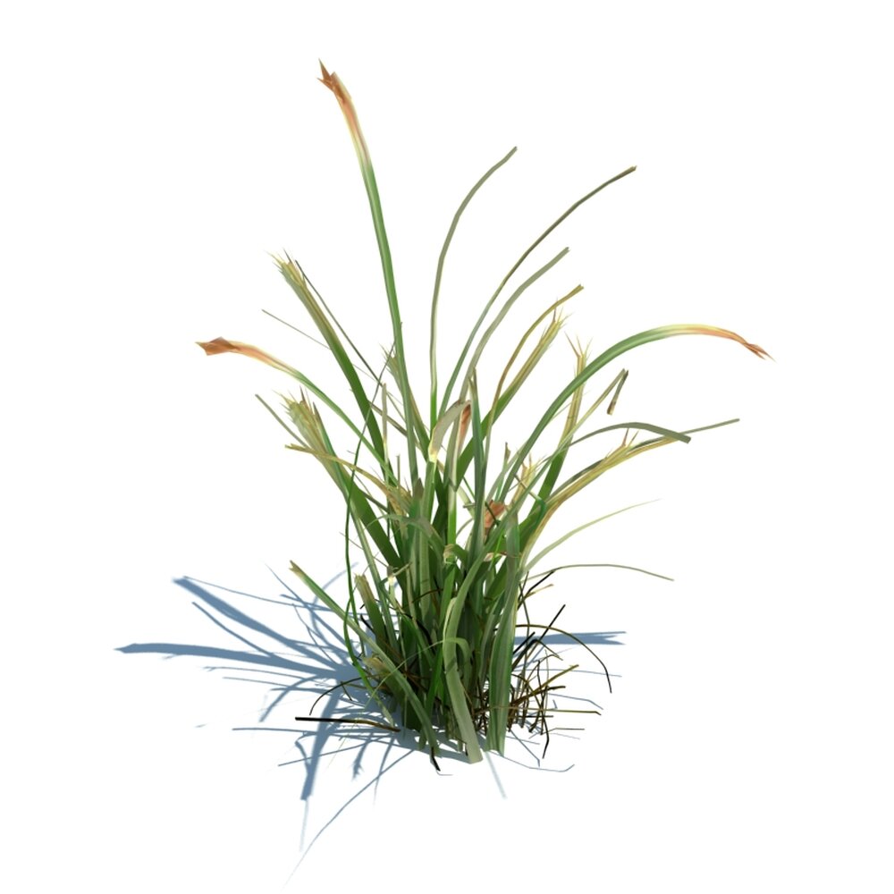 Simple Grass V5 3d model