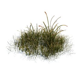 Simple Grass V6 Modelo 3d
