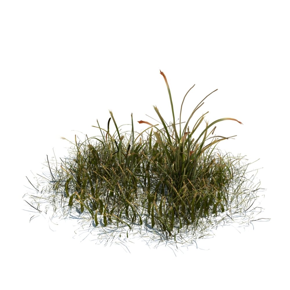 Simple Grass V6 Modelo 3D
