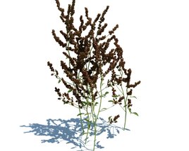 Simple Grass V8 3D-Modell