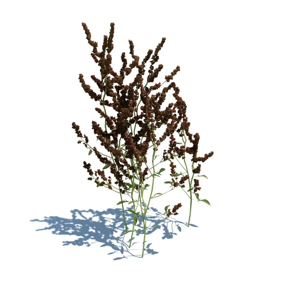 Simple Grass V8 3D-Modell
