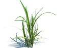Simple Grass V10 Modèle 3d