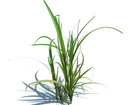 Simple Grass V10 3D-Modell