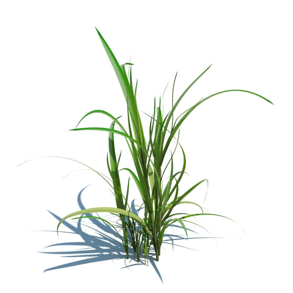 Simple Grass V10 3D 모델 
