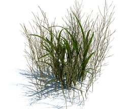 Simple Grass V11 3D model