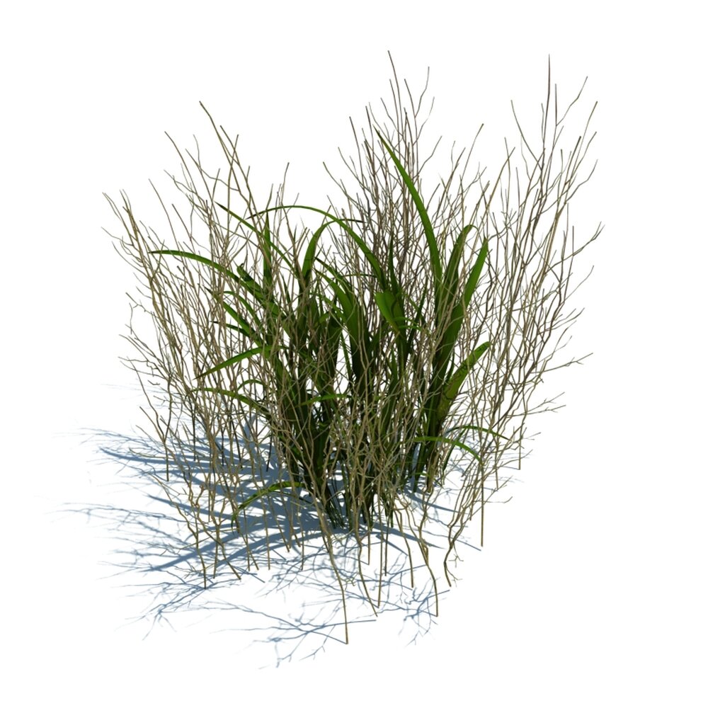Simple Grass V11 3D-Modell