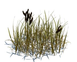 Simple Grass V12 3Dモデル