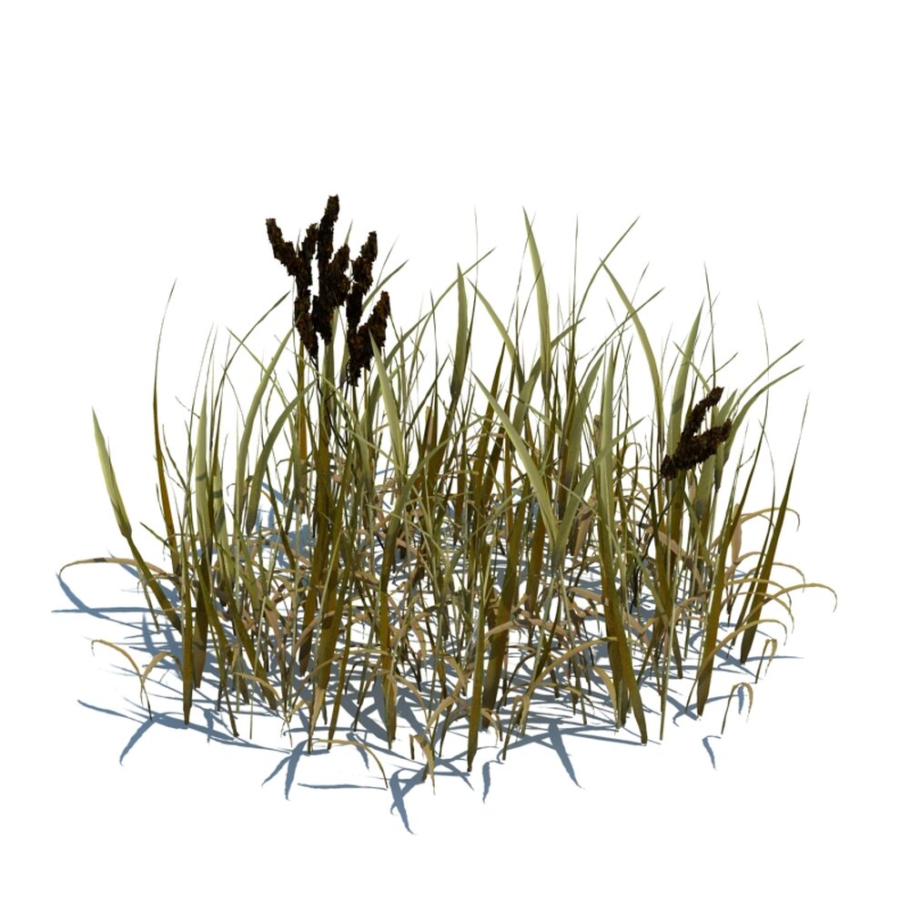 Simple Grass V12 3D модель