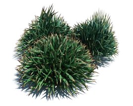Decorative Grass V1 Modelo 3D