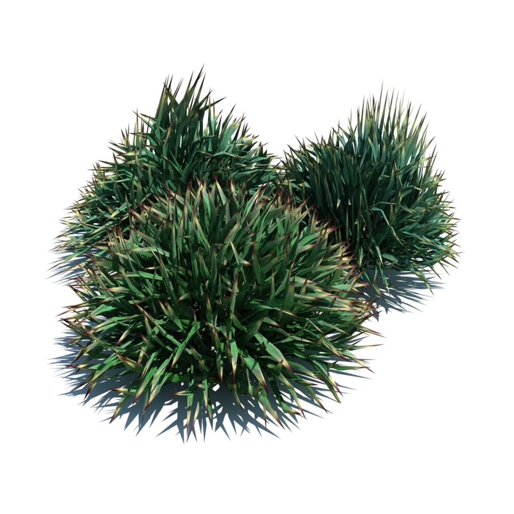 Decorative Grass V1 3d model