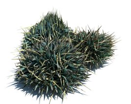Decorative Grass V2 3D model