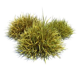 Decorative Grass V3 Modelo 3d