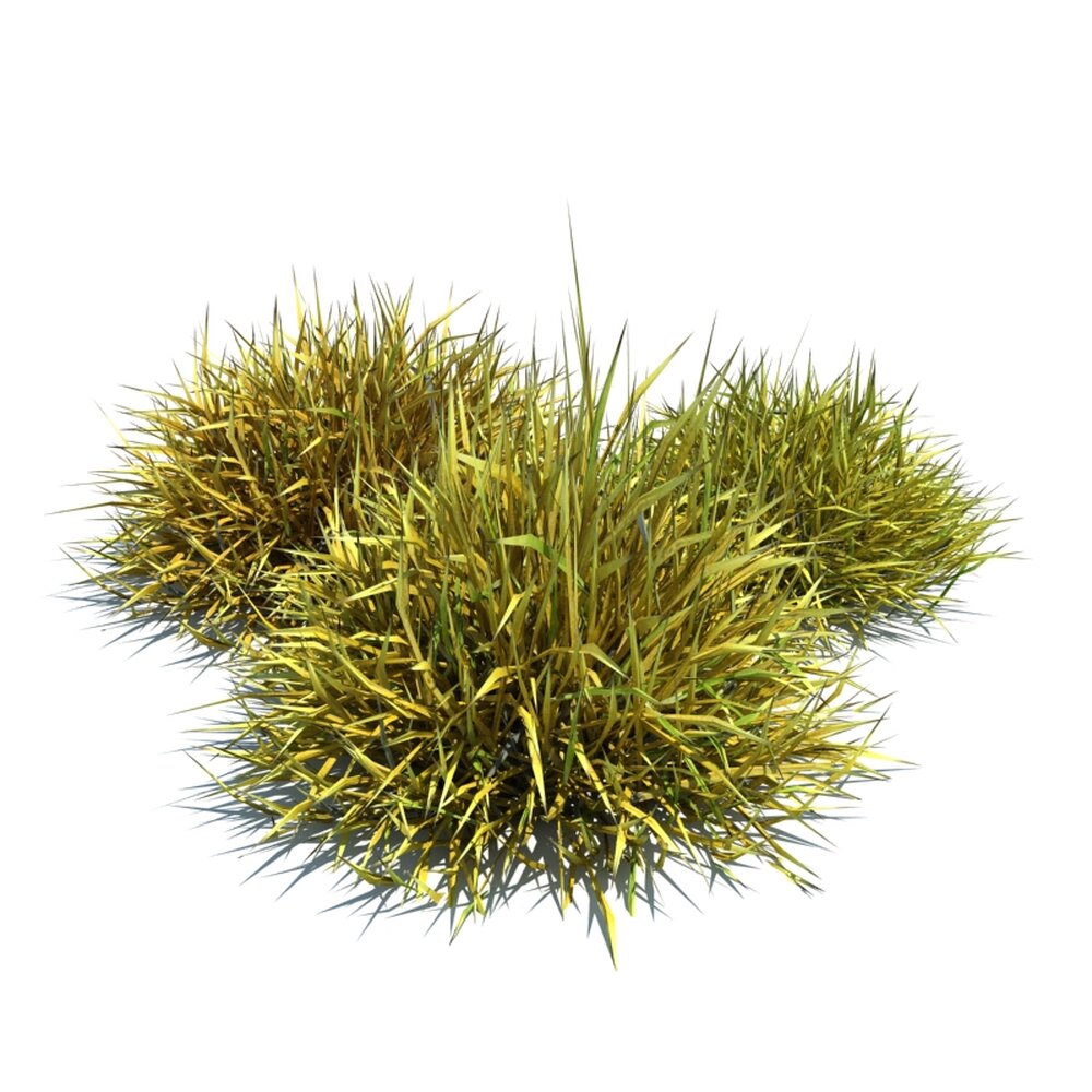 Decorative Grass V3 3d model