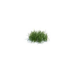 Simple Grass Small V1 3D-Modell