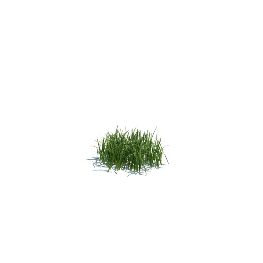 Simple Grass Small V1 3d model