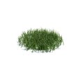 Simple Grass Medium V2 Modello 3D