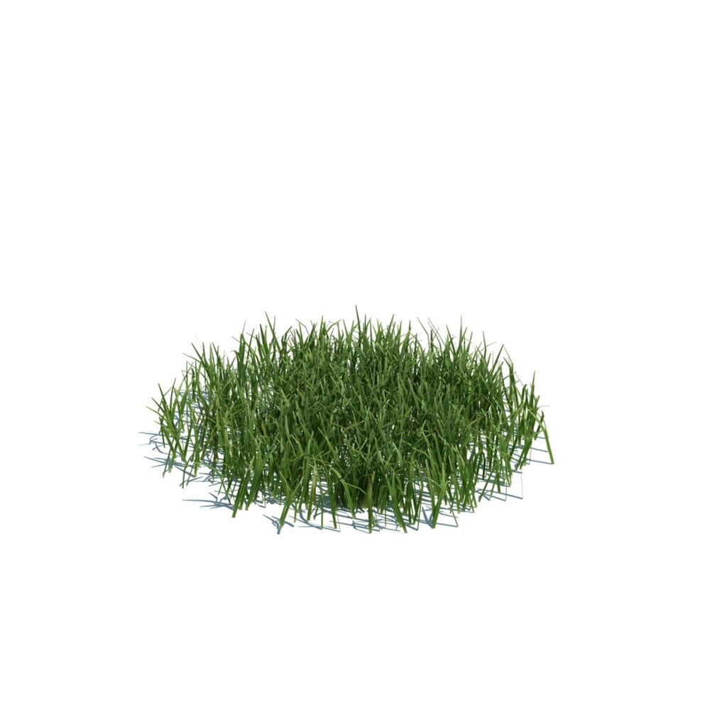 Simple Grass Medium V2 Modelo 3d