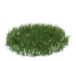 Simple Grass Large V3 Modelo 3d