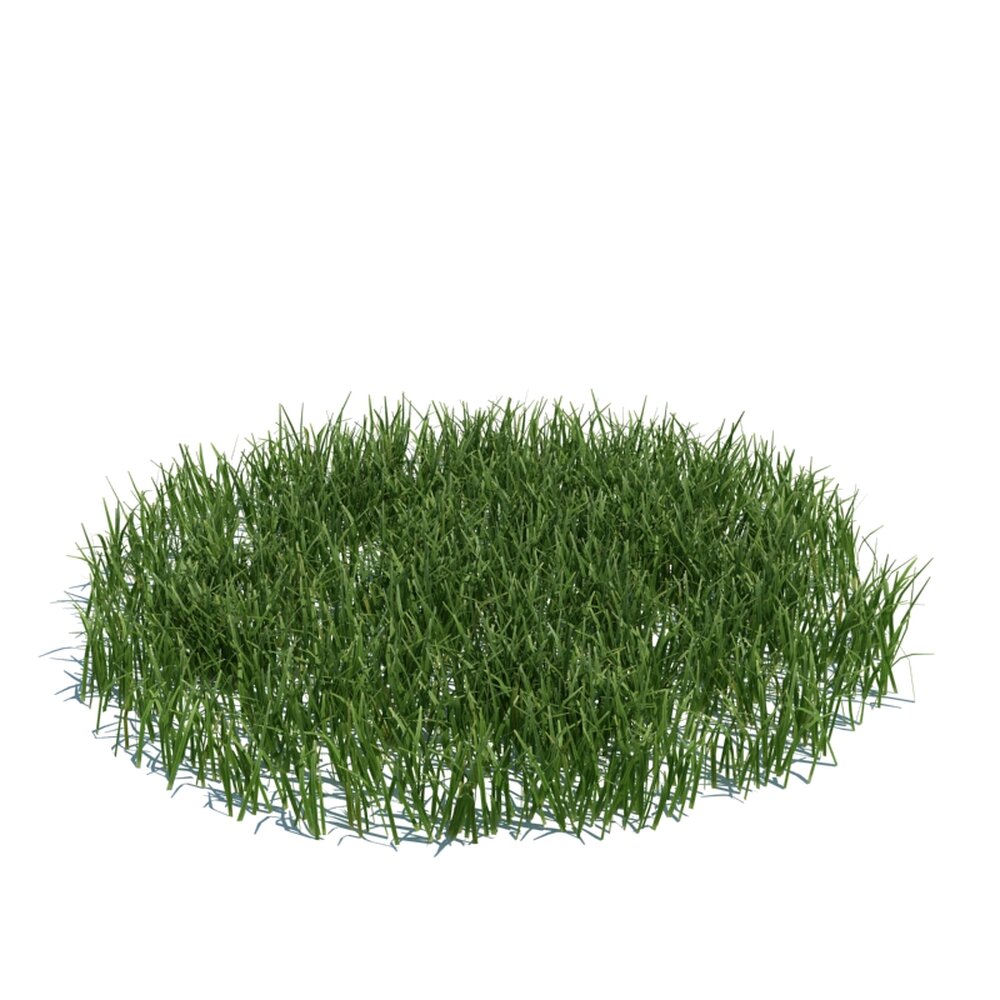 Simple Grass Large V3 Modelo 3D