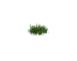 Simple Grass Small V2 3D-Modell