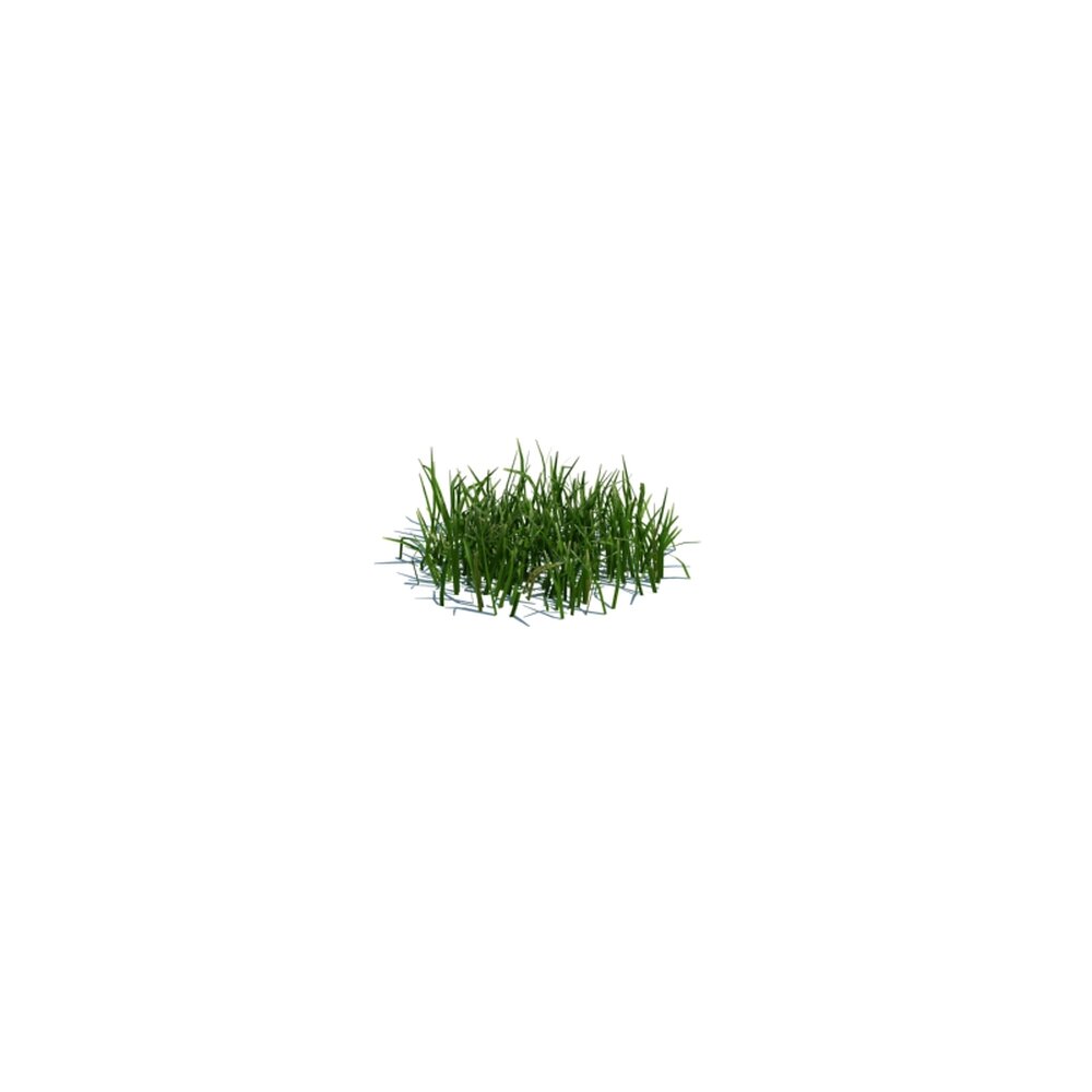 Simple Grass Small V2 3D 모델 