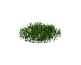 Simple Grass Medium V3 Modelo 3d