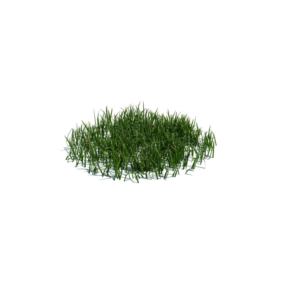 Simple Grass Medium V3 3D模型