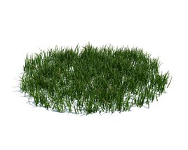 Simple Grass Large V4 3D model