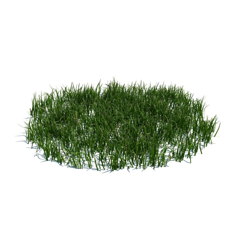 Simple Grass Large V4 3D модель
