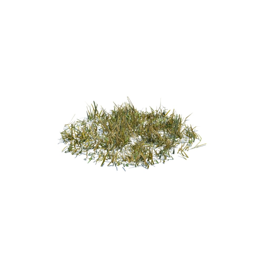 Simple Grass Medium V4 Modello 3D