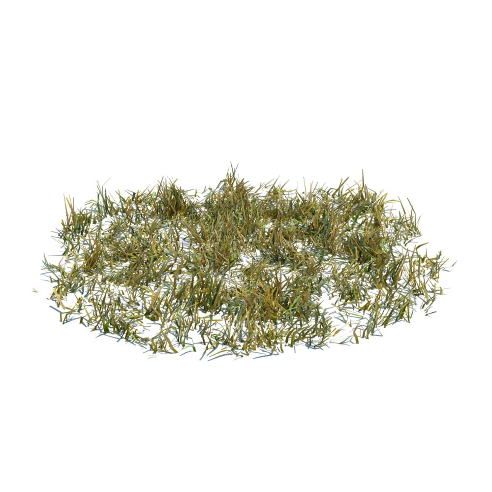 Simple Grass Large V5 3d model
