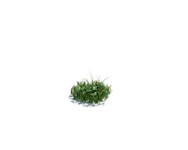 Simple Grass Small V4 Modello 3D