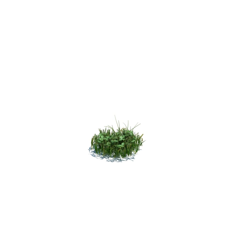 Simple Grass Small V4 Modelo 3d