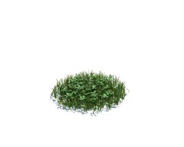 Simple Grass Medium V5 Modèle 3D