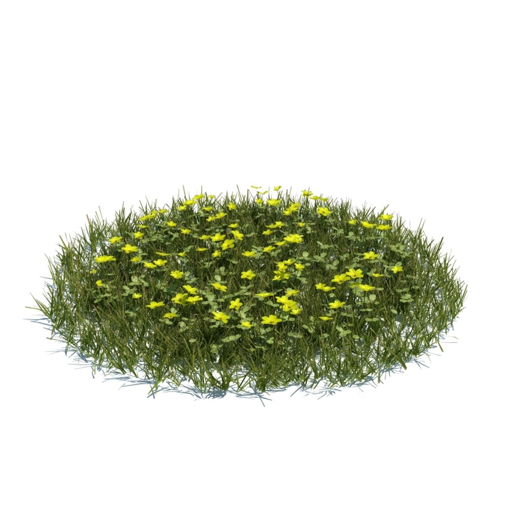 Simple Grass Large V7 Modelo 3d