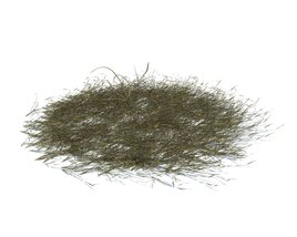 Simple Grass V13 Modello 3D