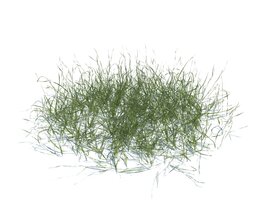 Simple Grass V15 Modello 3D