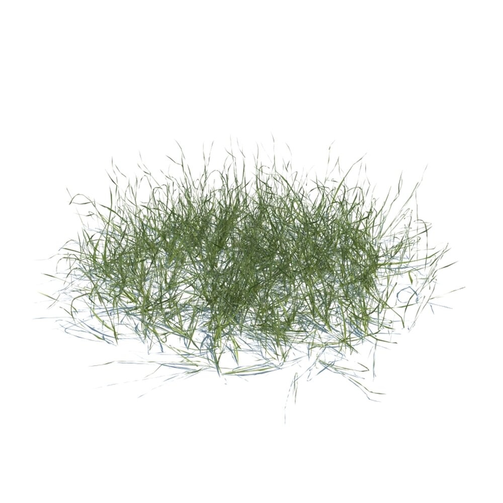 Simple Grass V15 3D модель